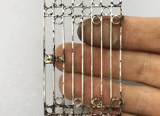 raphael truffi bortholuzzi brazil