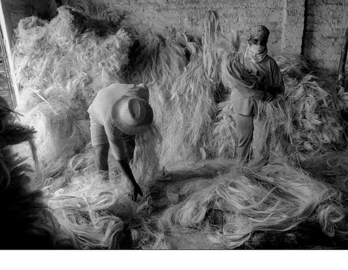 Gallery Of Photography By João Roberto Ripper - Brazil