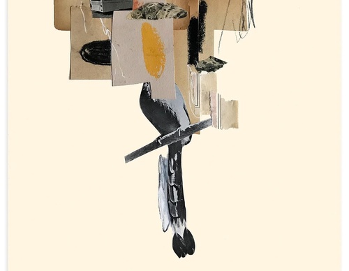 sr