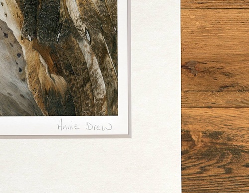 Galería de pintura realista de Annie Drew - Reino Unido