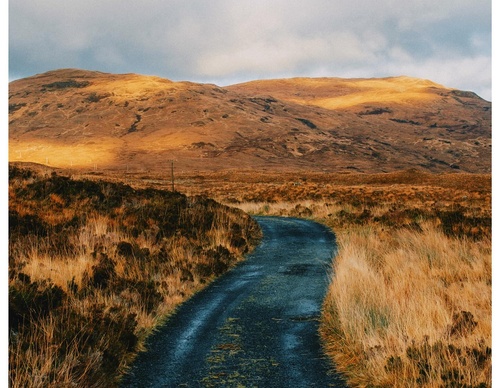 Gallery Of Photography By Daniel Casson - United Kingdom