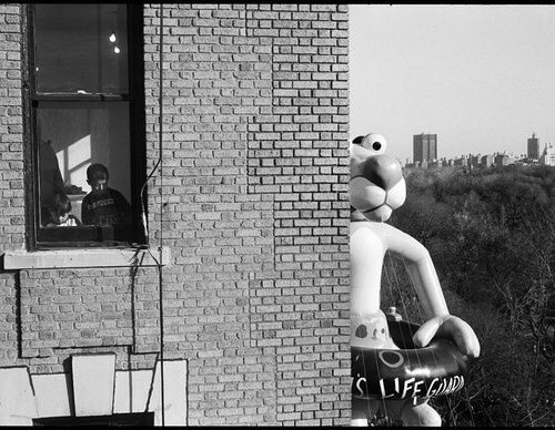 elliott erwitt
