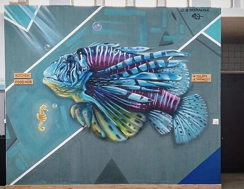 daturacebil