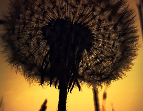 Gallery of Photography by Angela Petruzzelli - Italy