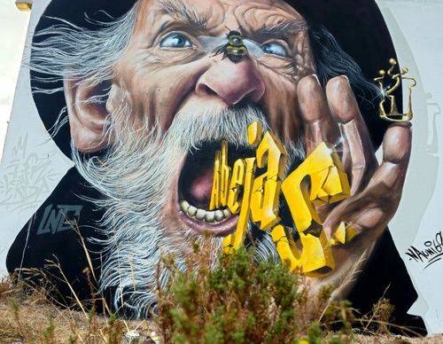 Galería de arte callejero de Nauni - España