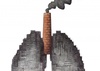 Lungs Industrial anatomy