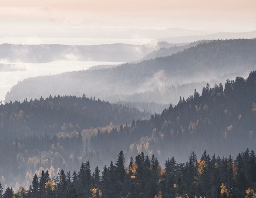 Gallery Of Photography By Elias Kalliola - USA