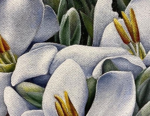 Gallery Of Visual Art By Carlo Batistella - Brazil