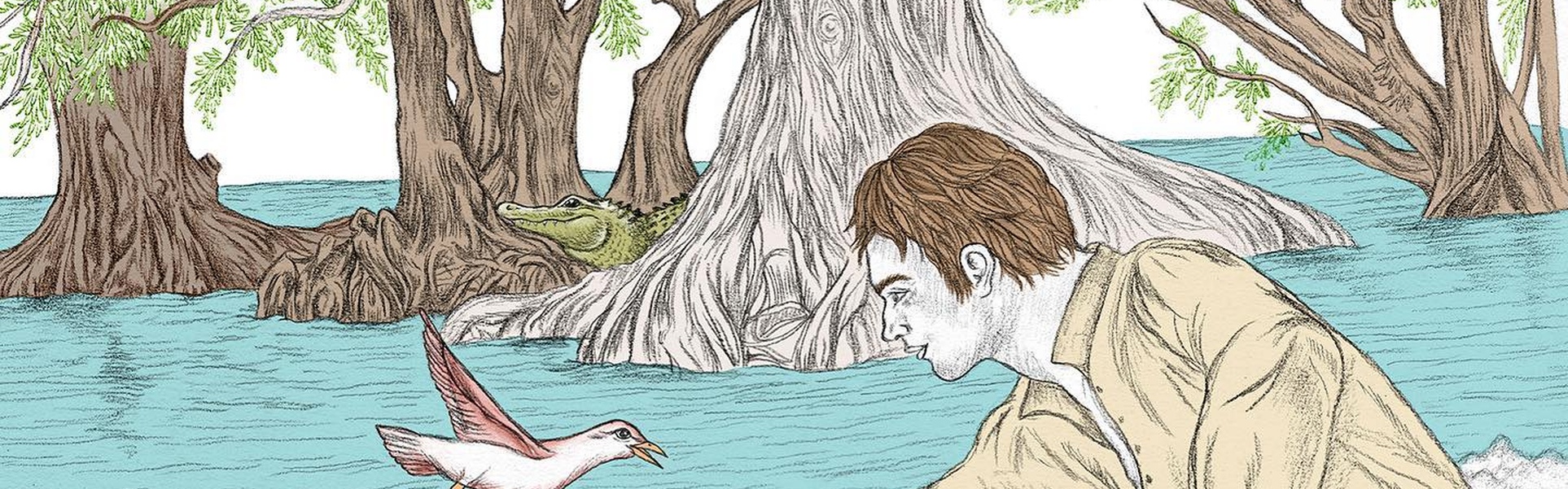 Galería de ilustraciones de Carolina Zambrano - Argentina