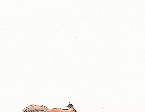 Gallery of Illustration by Émilie Michaud-France