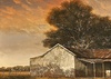 Gallery Of Painting By Jorge Frasca - Argentina
