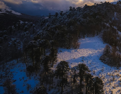 Gallery Of Photography By Sebastián Ojeda S - Chile