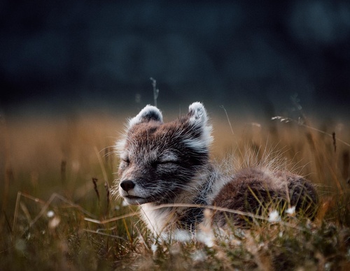 Galería de fotografías de Hannes Becker - Alemania