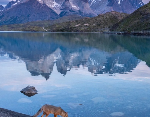 Gallery Of Photography By Timothy Dhalleine - Chile