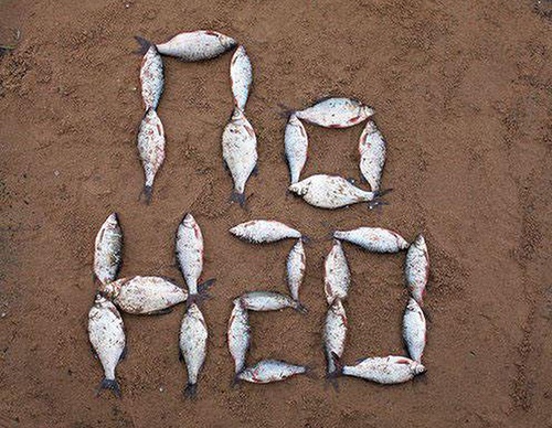 latin american posters