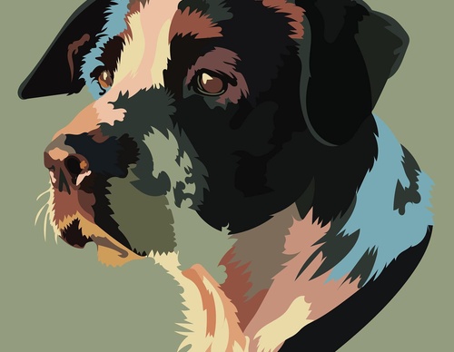 Galeria de ilustrações de Cody A Banks - EUA