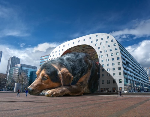 Galeria De Fotografia De Adrian Sommeling - Holanda