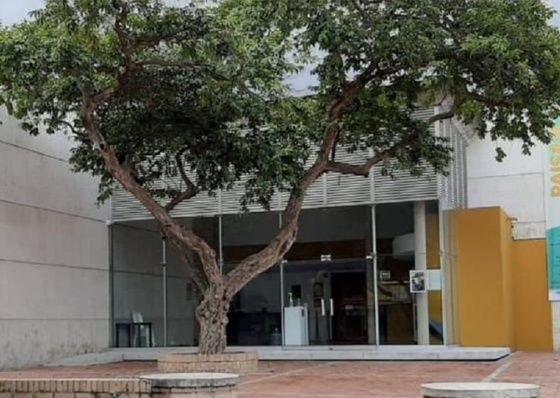 Botero en la celebración de los 20 años del Museo de Arte del Tolima