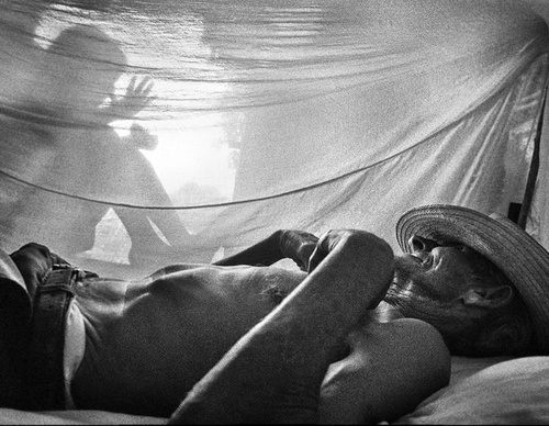 raul canibano