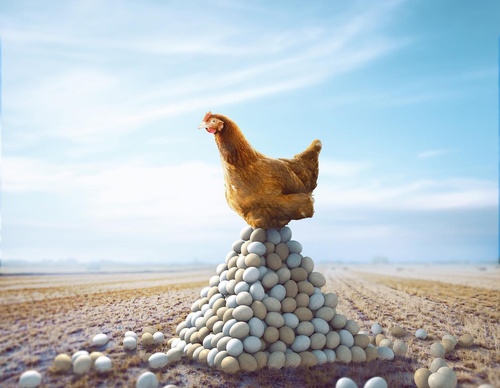 Gallery Of Illustration By Kevin Carden - USA