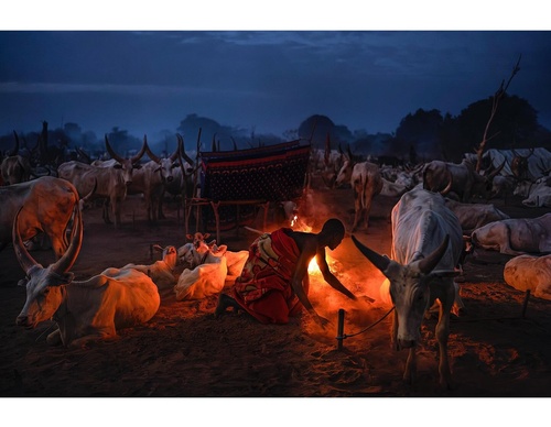 Galería de fotografía de Alessandro Bergamini - Italia