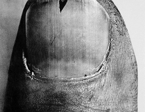 frieder grindler