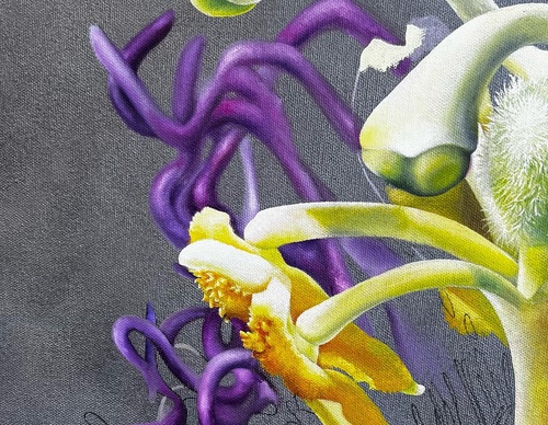 Gallery Of Visual Art By Carlo Batistella - Brazil