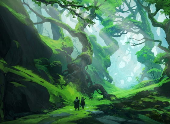 Andreas Rocha