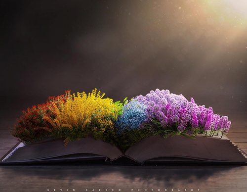 Gallery Of Illustration By Kevin Carden - USA