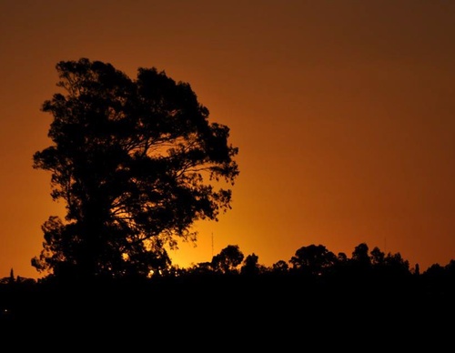 Gallery Of Photography By Luis Médici - Argentina