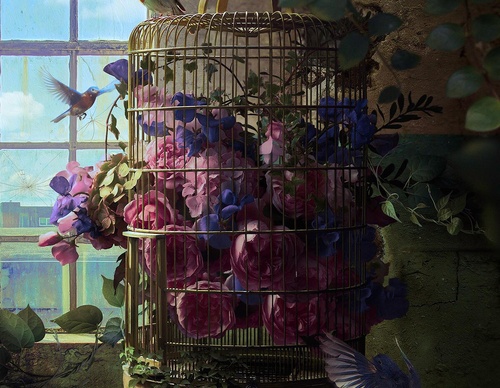 Galeria de ilustrações de João Cunico - Brasil