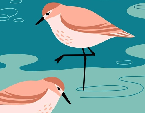 Gallery Of Illustration By Cat Finnie - England