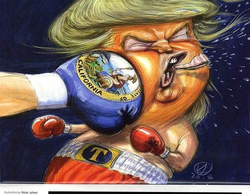Gallery Of Humor Drawing By Victor Juhasz - Usa