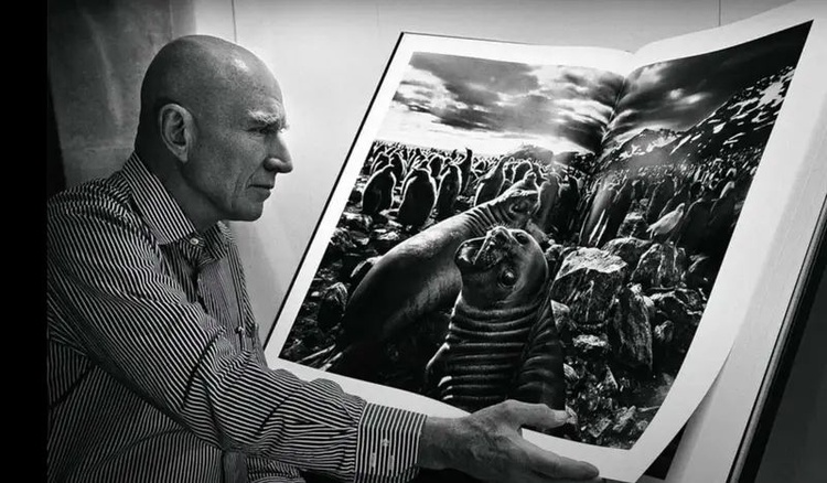 Fotografía Documental: La Mirada Testigo