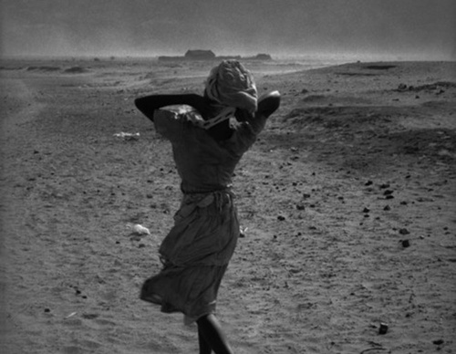 raymond depardon
