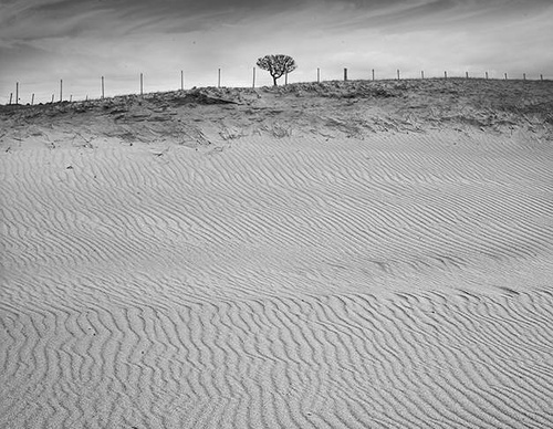 Gallery Of Photography By Diego Ortiz Mugica - Argentina