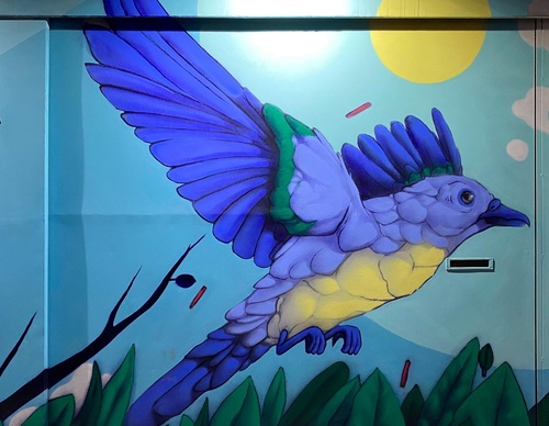 Gallery Of Street Art By Elchicho - Mexico