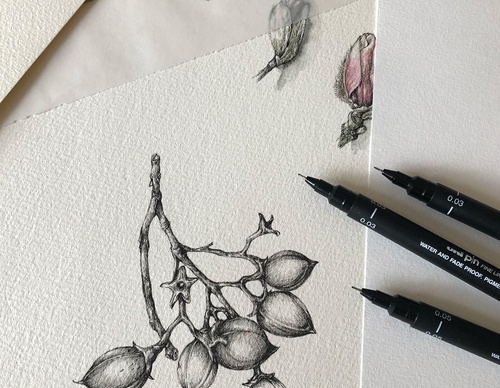 Gallery of Drawing by GiacoMina Ferrillo-Italy