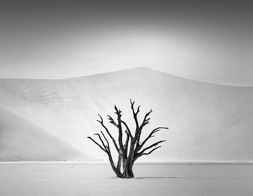 Galeria de fotografias de Nina Papiorek - Alemanha