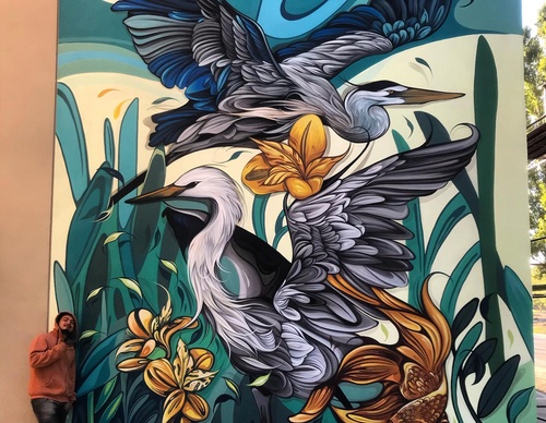 Gallery Of Street Art By Fio Silva - Argentina