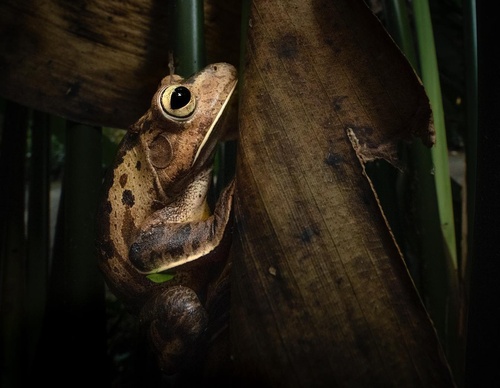 Gallery Of Photography By Fernando Faciole - Brazil