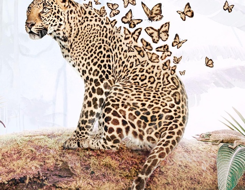 Galería De Ilustración De Luisa Azevedo - Portugal