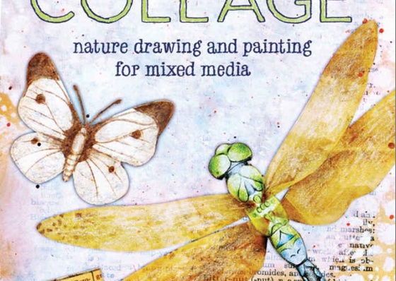 Colored Pencil Collage: Nature Drawing and Painting for Mixed Media by Kelly Hoernig by Kelly Hoernig