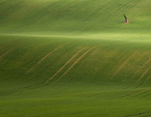Galería de fotografías de Pujan Shadlau - Austria