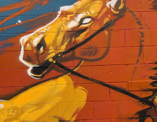 Gallery Of Street Art By Kiptoe - Argentina