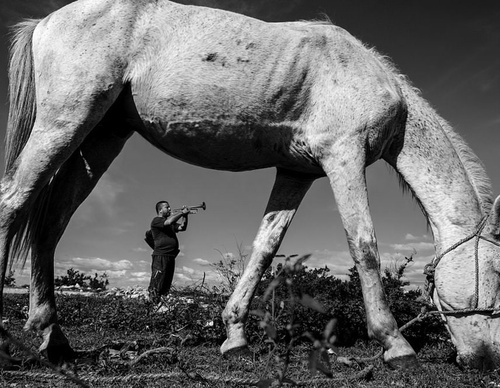 raul canibano
