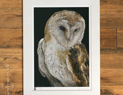 Galería de pintura realista de Annie Drew - Reino Unido