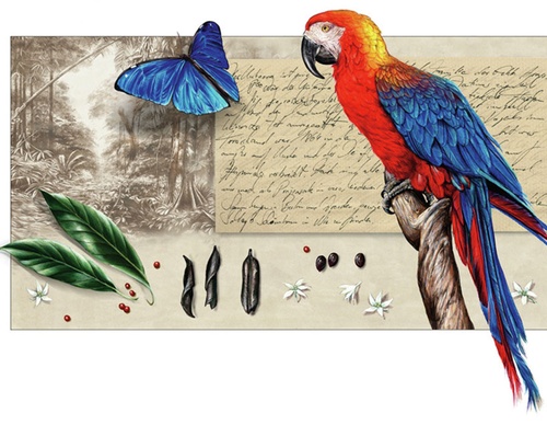 best illustrators worldwide