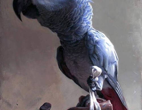jason seiler