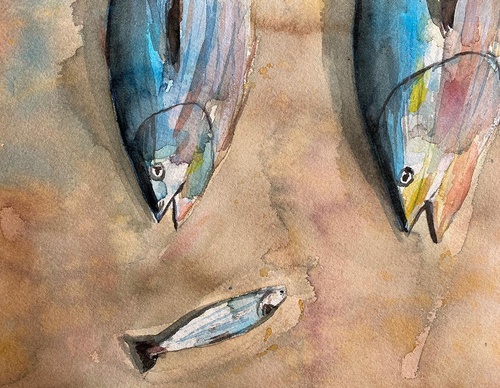 Galería de ilustraciones de Amjed Alsiyabi - Omán